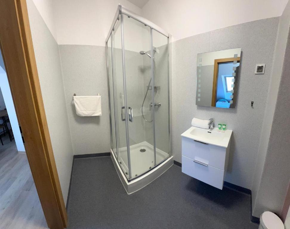 Apartment Divemed Jelenia Gora
